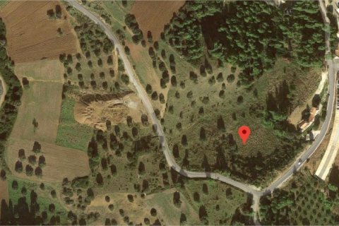 12300m² Land à Chalkidiki, Greece No. 58108 1