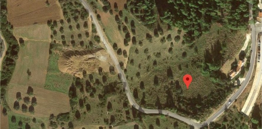 12300m² Land in Chalkidiki, Greece No. 58108