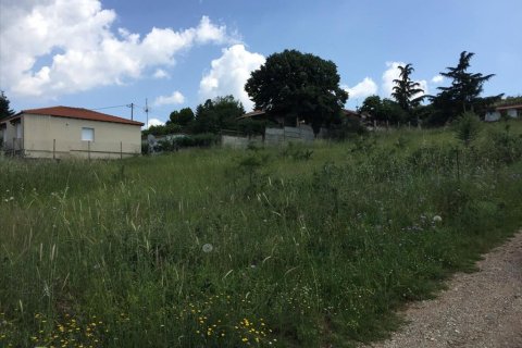 2750m² Land en Chortiatis, Greece No. 58109 4