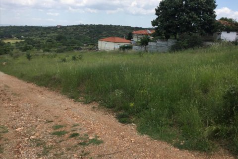 2750m² Land en Chortiatis, Greece No. 58109 2