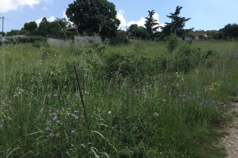 2750m² Land in Chortiatis, Greece No. 58109 5