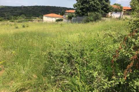 2750m² Land en Chortiatis, Greece No. 58109 3