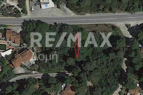 4334m² Land in Skiathos, Greece No. 24285 4