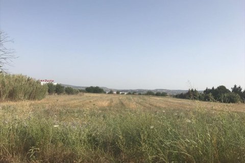 17112m² Land in Thermi, Greece No. 58625 4