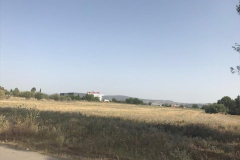 17112m² Land in Thermi, Greece No. 58625 7