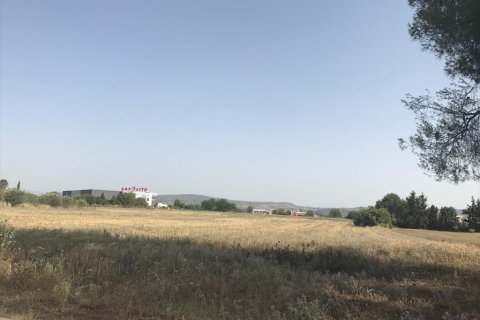 17112m² Land in Thermi, Greece No. 58625 6