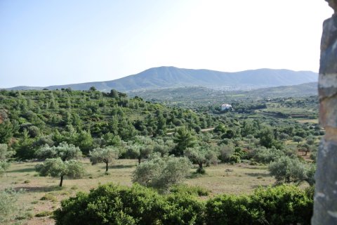 5 chambres House à Keratea, Greece No. 58627 25