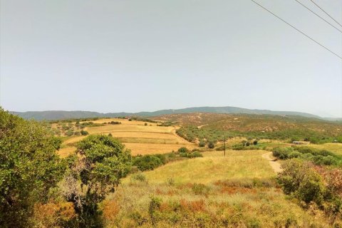 10750m² Land à Chalkidiki, Greece No. 58623 2