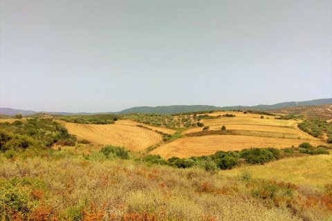 10750m² Land in Chalkidiki, Greece No. 58623 3