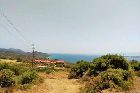 10750m² Land en Chalkidiki, Greece No. 58623 1