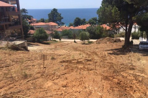 1330m² Land in Chalkidiki, Greece No. 58624 7