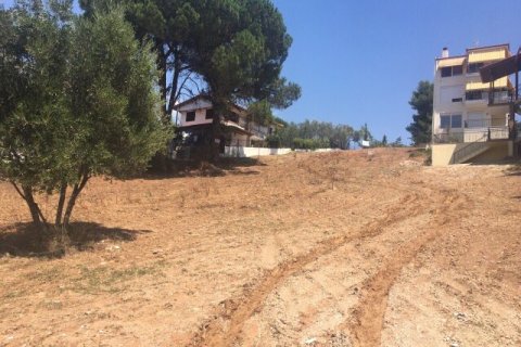 1330m² Land à Chalkidiki, Greece No. 58624 4