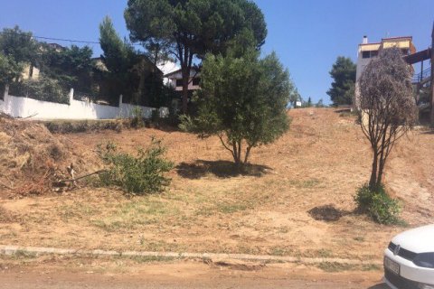 1330m² Land à Chalkidiki, Greece No. 58624 3