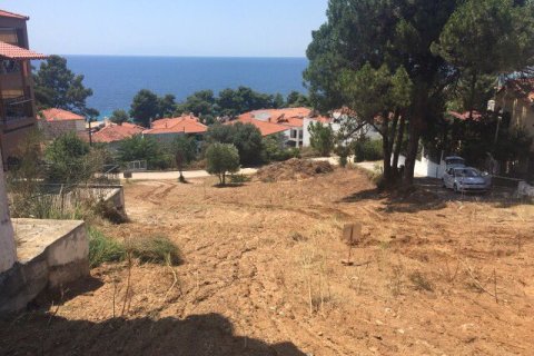 1330m² Land en Chalkidiki, Greece No. 58624 5