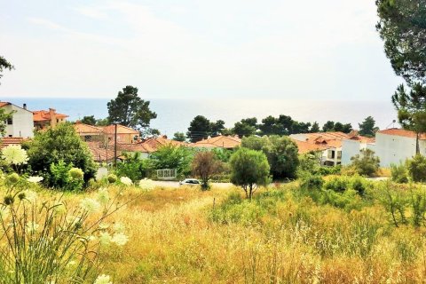 1330m² Land en Chalkidiki, Greece No. 58624 1