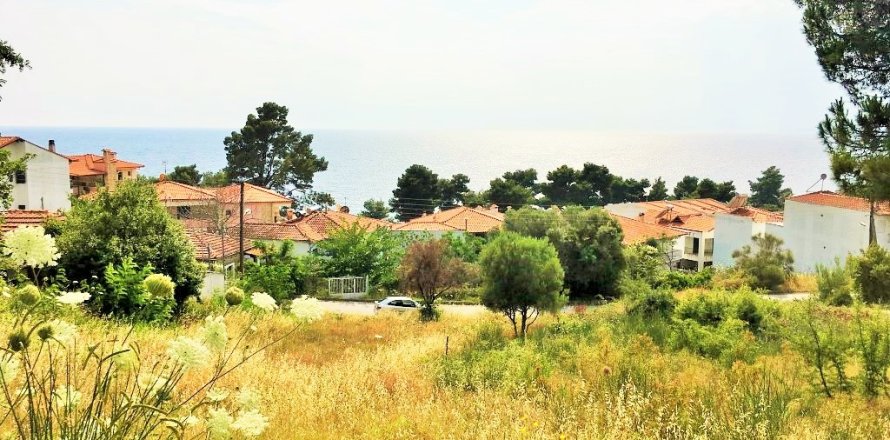 1330m² Land en Chalkidiki, Greece No. 58624