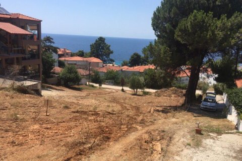 1330m² Land en Chalkidiki, Greece No. 58624 6