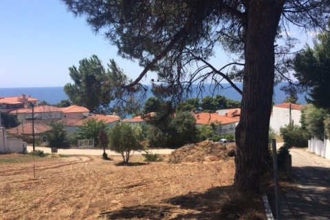 1330m² Land à Chalkidiki, Greece No. 58624 8