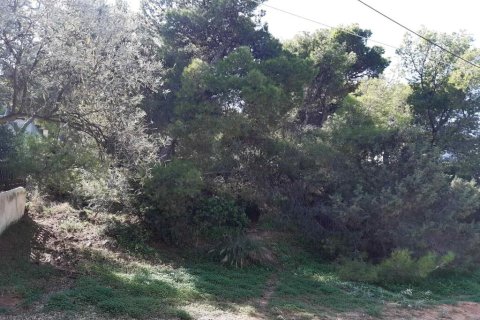 1050m² Land in Markopoulo Mesogaias, Greece No. 54629 1