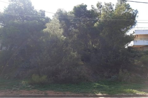 1050m² Land in Markopoulo Mesogaias, Greece No. 54629 5