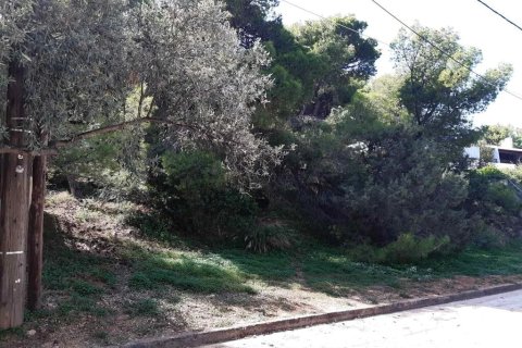 1050m² Land en Markopoulo Mesogaias, Greece No. 54629 4