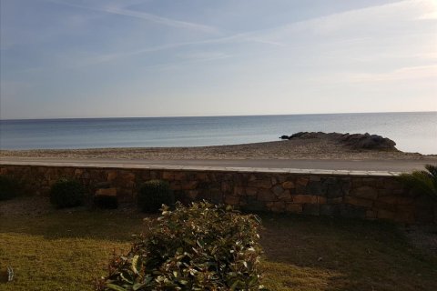 850m² Hotel à Chalkidiki, Greece No. 57545 16