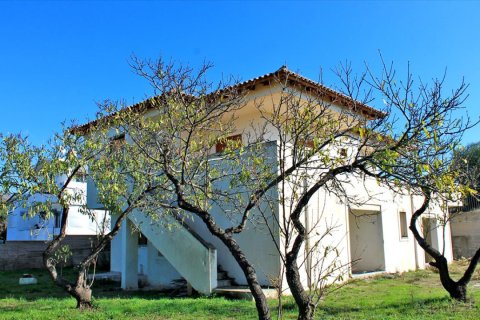 5 chambres Villa à Athens, Greece No. 49184 3