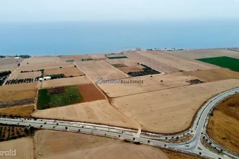 43285m² Land in Softades, Cyprus No. 41465 13