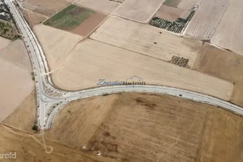 43285m² Land à Softades, Cyprus No. 41465 15