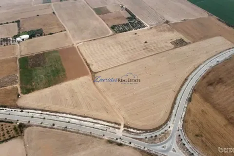 43285m² Land in Softades, Cyprus No. 41465 14