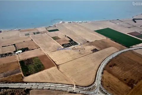 43285m² Land à Softades, Cyprus No. 41465 3