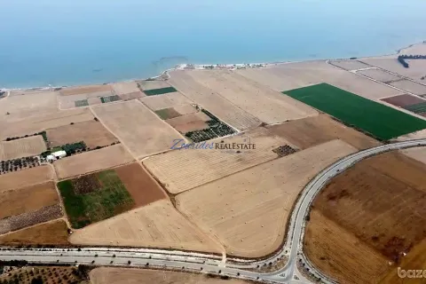 43285m² Land à Softades, Cyprus No. 41465 4