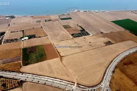 43285m² Land en Softades, Cyprus No. 41465 10