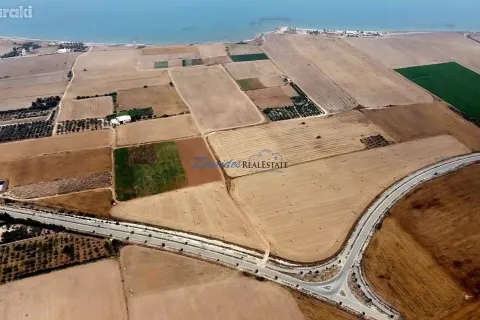 43285m² Land in Softades, Cyprus No. 41465 9