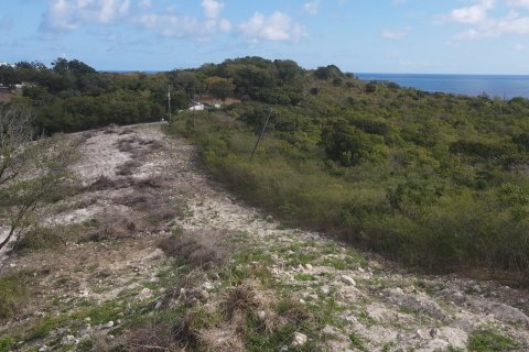 14164m² Land in Freetown, Antigua and Barbuda No. 64974 14