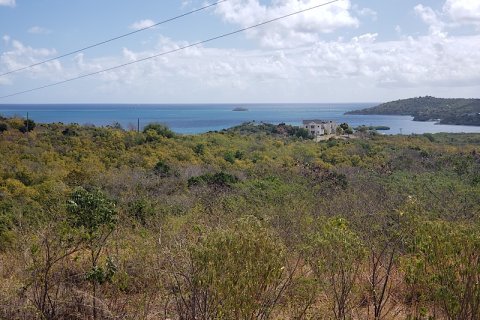 14164m² Land en Freetown, Antigua and Barbuda No. 64974 2