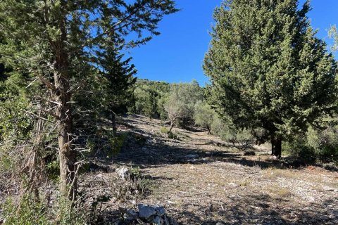 Land in Zakynthos, Greece No. 24507 17