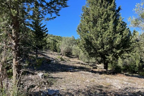 Land in Zakynthos, Greece No. 24507 16