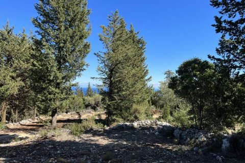 Land in Zakynthos, Greece No. 24507 3