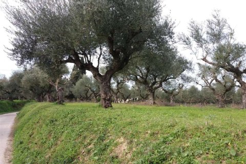 Land in Zakynthos, Greece No. 24506 17