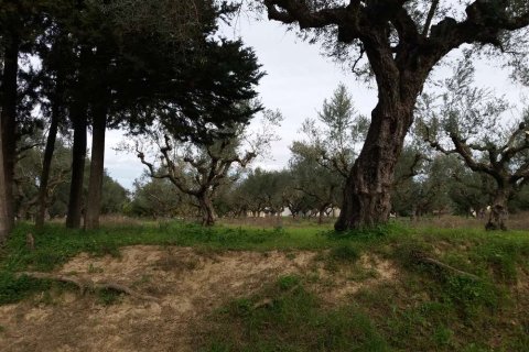 Land in Zakynthos, Greece No. 24506 10