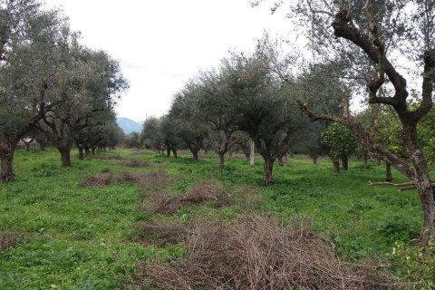 Land in Zakynthos, Greece No. 24506 24