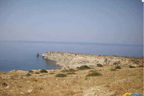 14500m² Land en Rethymno, Greece No. 57401 9