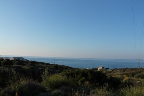 6000m² Land in Hersonissos, Greece No. 57420 1