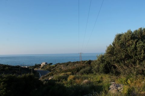 6000m² Land in Hersonissos, Greece No. 57420 3