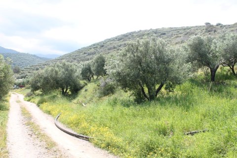 9700m² Land en Sitia, Greece No. 57403 1