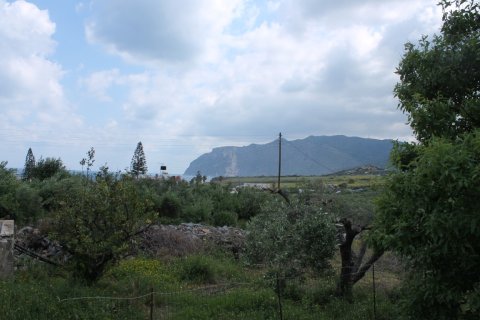 9700m² Land in Sitia, Greece No. 57403 4