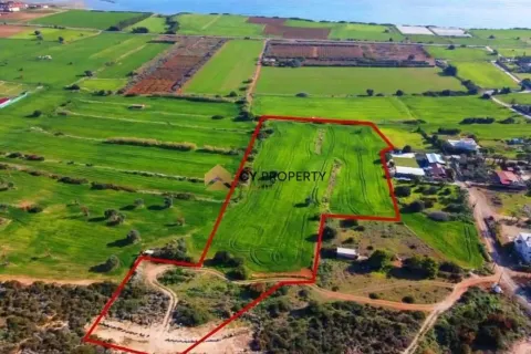 17057m² Land in Kofinou, Cyprus No. 41962 1