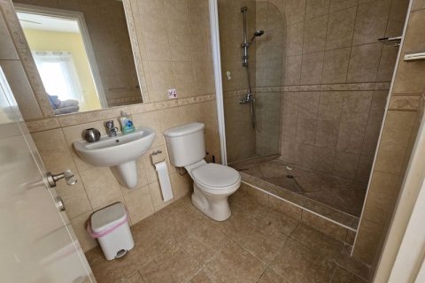 3 bedrooms Villa in Pegeia, Cyprus No. 36812 16