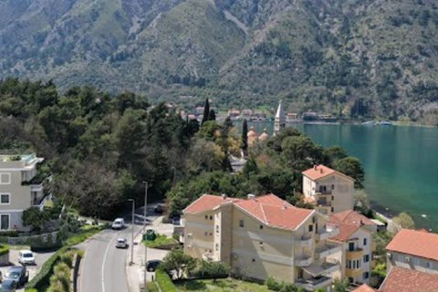 3 chambres Penthouse à Kotor, Montenegro No. 66916 1